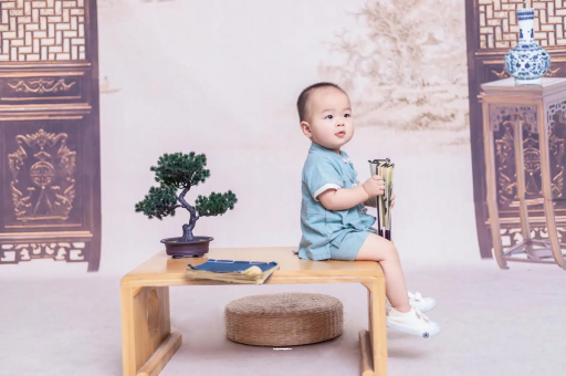 那曲可爱的企鹅宝宝